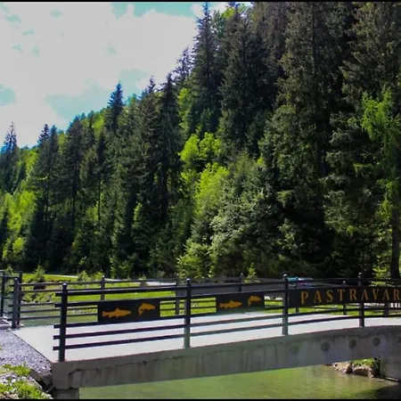 Holiday home Nemtucu Borsa (Maramures)